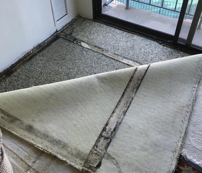 Carpet pulled up during mold remediation