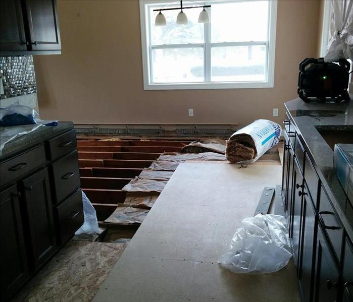 residential home with exposed sub-floor during mold removal