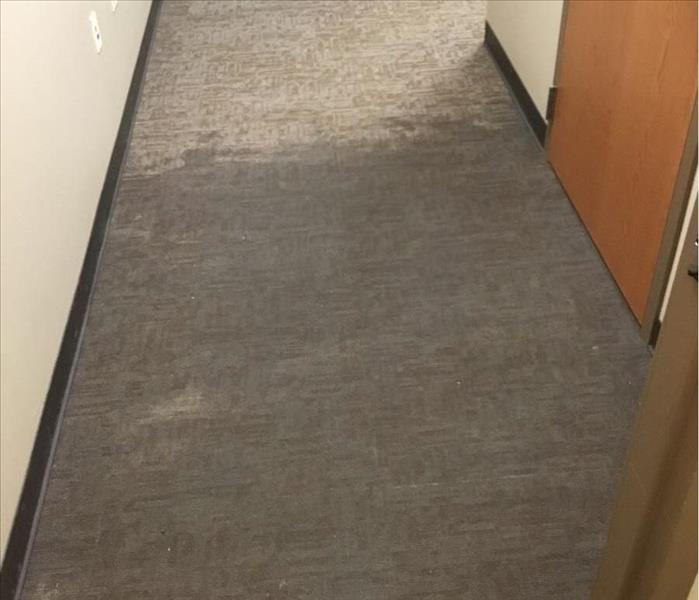 hallway with wet carpet after flooding