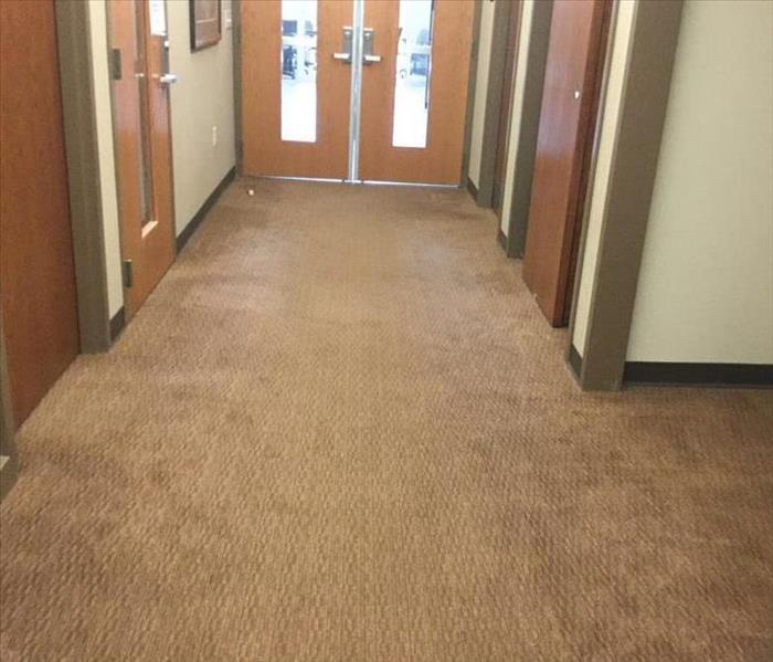 hallway with dried carpet after clean up