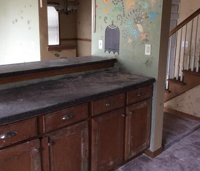 Mold damaged walls in a home. 