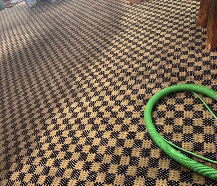 line between dirty and clean carpet during cleaning