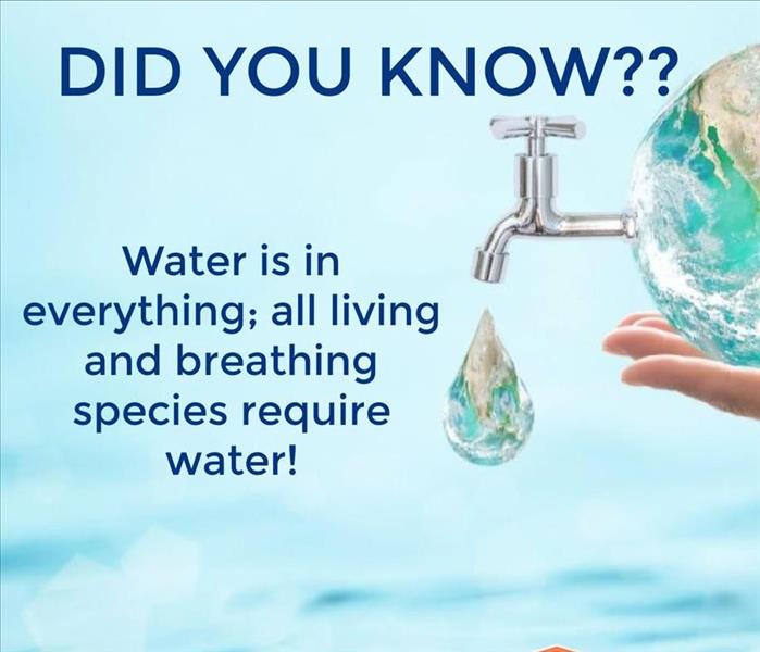 Did you know: Fun Water Facts